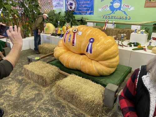 Alaska State Fair Prize Pumpkin